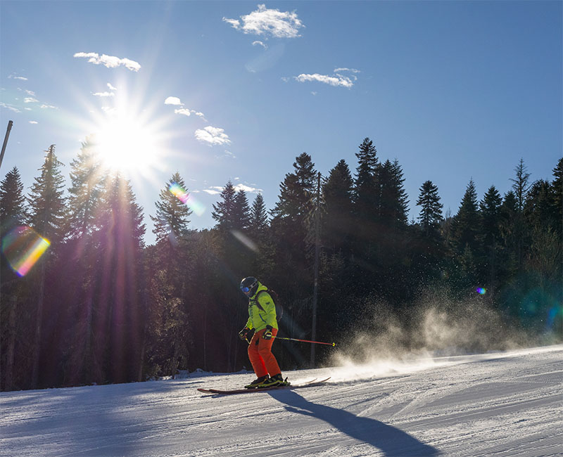 Отель Орион