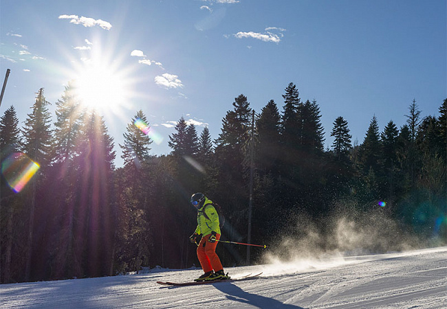 Отель Орион